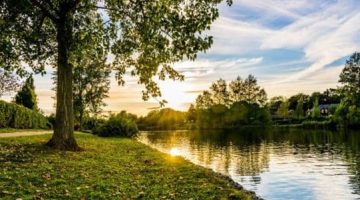 Người đàn ông khóc vì viên đá cuối cùng